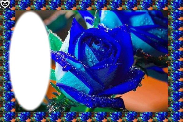 rose bleue Fotomontāža