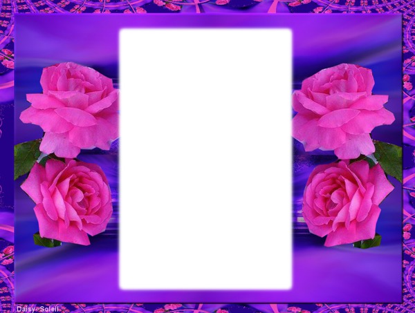 cadre fleur rose Montage photo