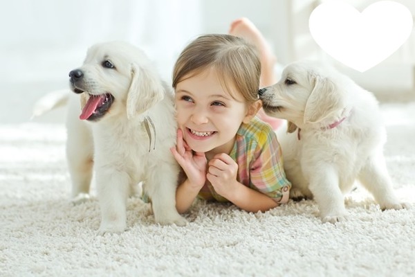 Amour entre chiens et enfant Montaje fotografico