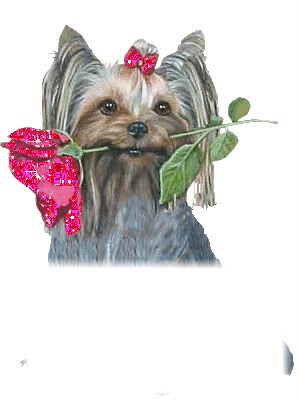 papillon chien avec rose Фотомонтаж