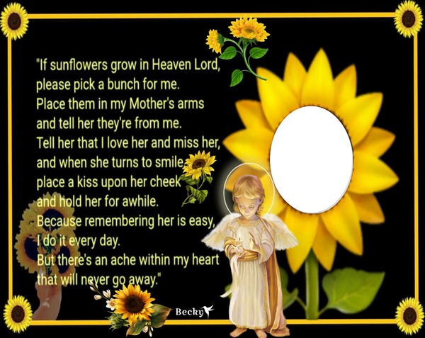 if sunflowers grow in heaven Montage photo