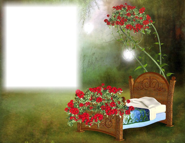 Lit - dormir - fleurs rouges Фотомонтажа