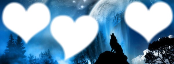 my kiffe the wolf ( mon kiffe les loups ) ♥♥♥♥♥ Photo frame effect