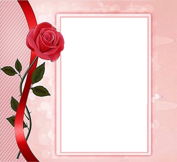 marco rosado y rosa roja. Fotomontage