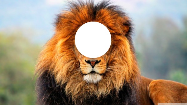 lion Fotomontaggio