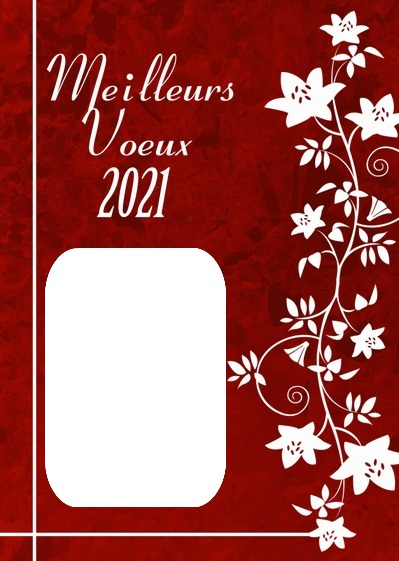 voeux 2021 Photo frame effect