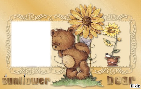 sunflower bear Photomontage