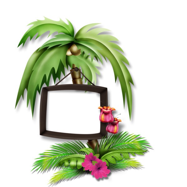 le palmier Photo frame effect