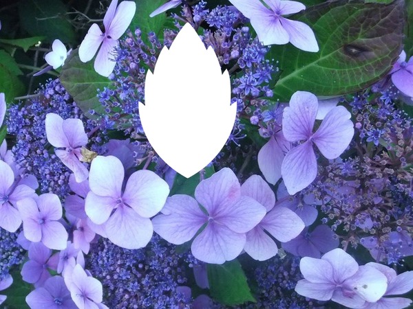 Linda flores lilas Fotomontagem