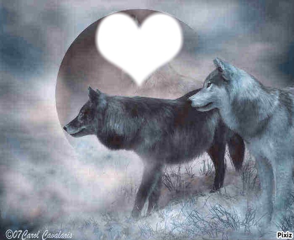 moon wolf Fotomontasje