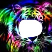 rainbow tiger md Fotomontāža