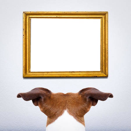chien Photo frame effect