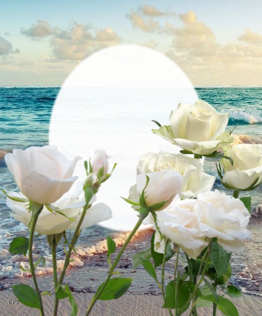 Cc Mar y Rosas Fotomontaggio