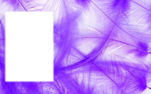 plume violette Fotomontaggio