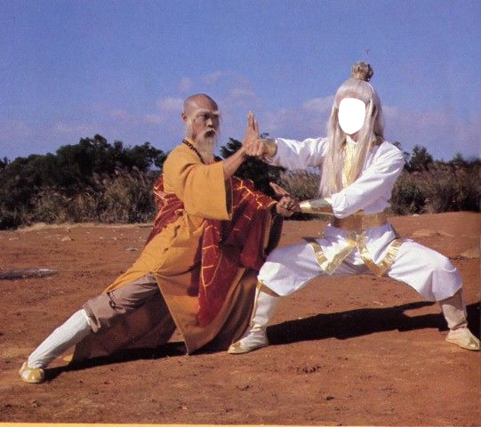 kung fu Montaje fotografico