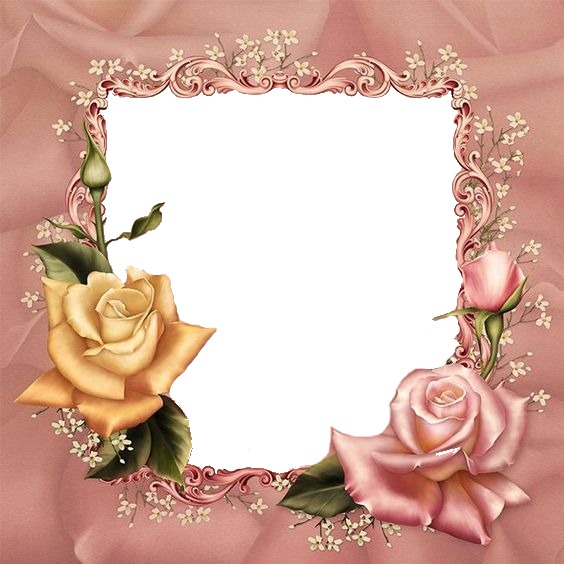 marco y rosas palo rosa. Photo frame effect