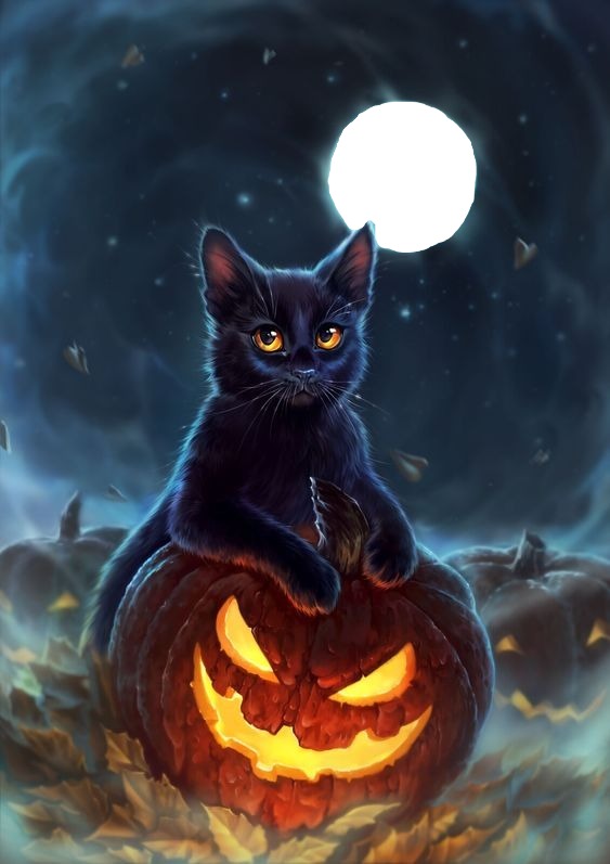 gatoneu Halloween Fotomontaggio
