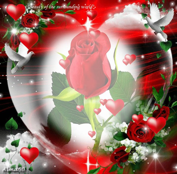 renewilly corazon y rosa enmedio Fotomontage