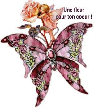 papillon fleur Fotomontaggio