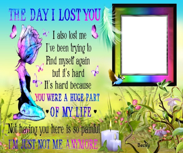 the day i lost you Montage photo