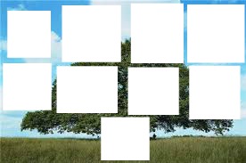 arbre genealogique clem Photomontage