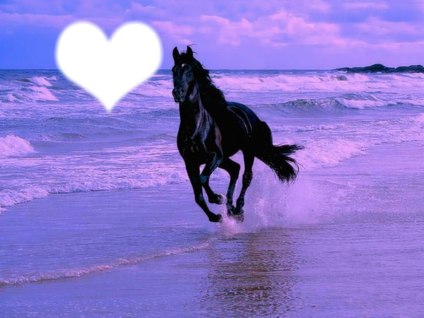 cheval du coeur Fotomontasje