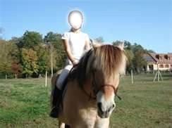 le cheval mon amie Fotomontaż