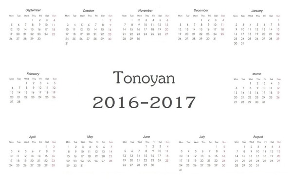 Tonoyan 2016-2017 Fotomontažas