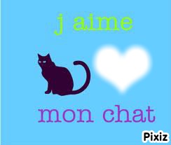 I ♥ mon chat フォトモンタージュ