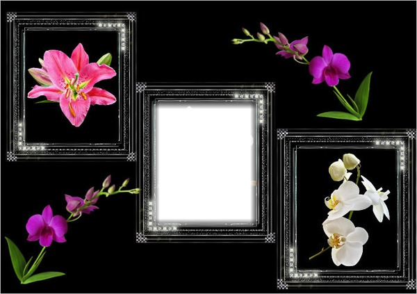 Cadre orchidées Фотомонтаж