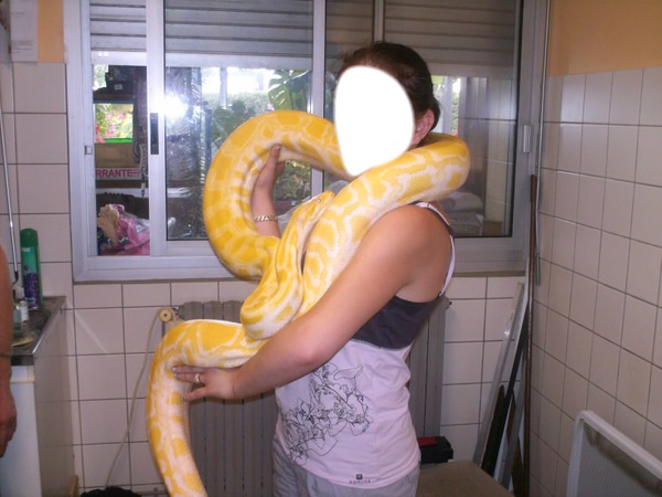 Serpent jaune Fotomontaža