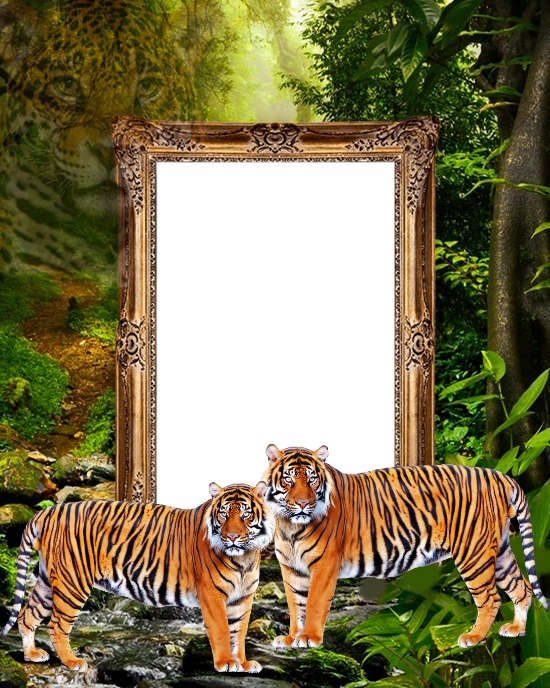 Cc Tigres y mi retrato Photomontage