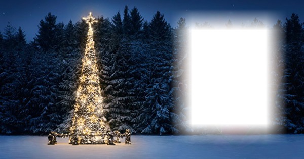 Christmas Tree Fotomontagem