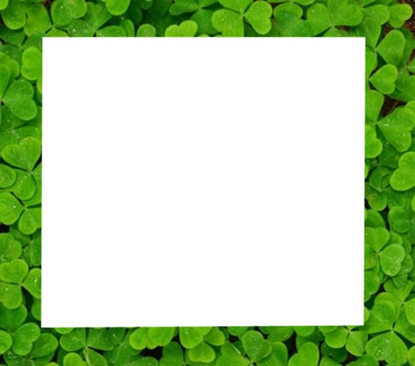 St Pats Day Clover Photo frame effect