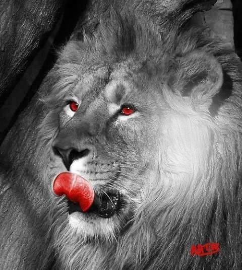 lion Фотомонтаж