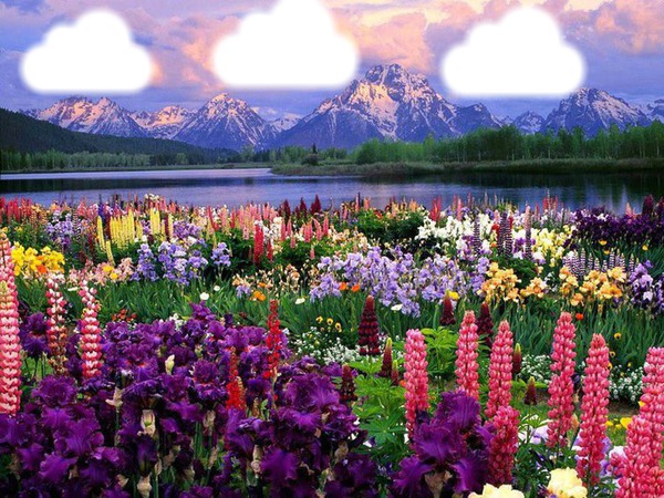 paysge montagnes et fleurs Fotómontázs