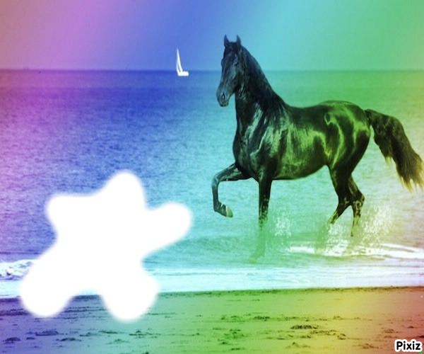cheval multicolores Fotomontage