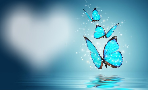 borboleta azul Fotomontáž