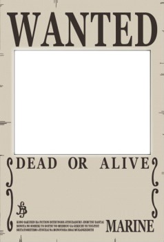 New Wanted Photo frame effect