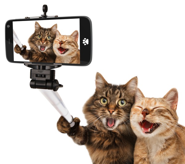 Selfie ! Fotomontaggio
