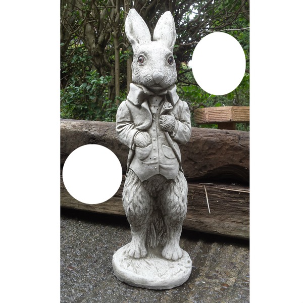 hi i am peter the rabbit Photomontage