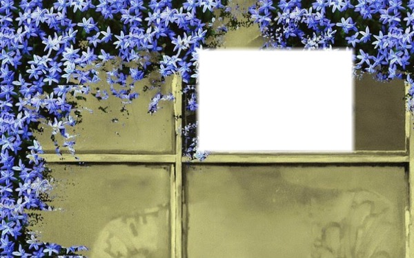 cadre fleurs bleue Φωτομοντάζ