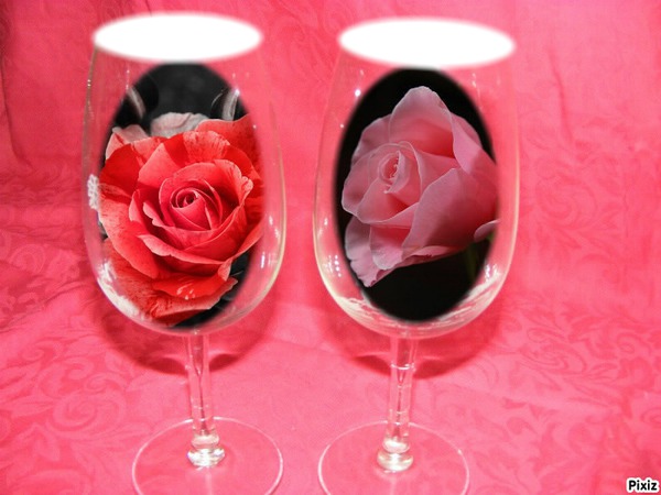 couleur roses Fotomontage