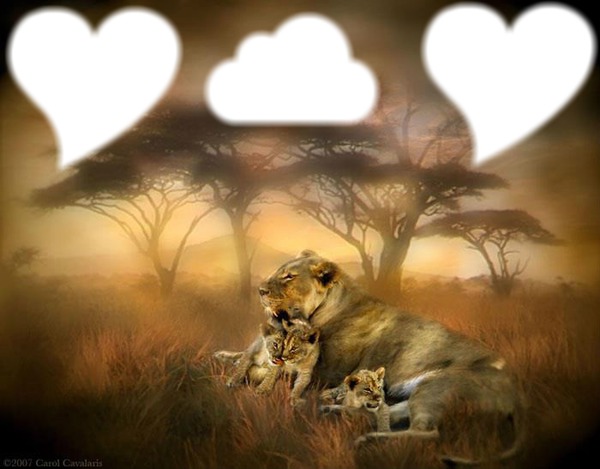 la mère des lionceaux Fotomontage