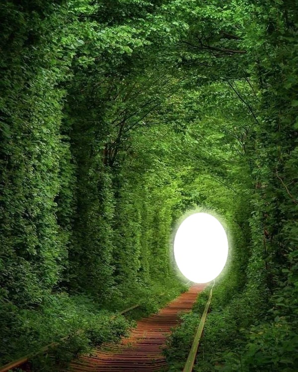 túnel de árboles Photo frame effect