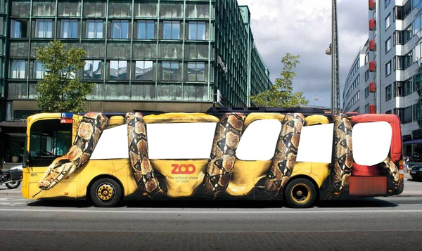 bus zoo Photo frame effect