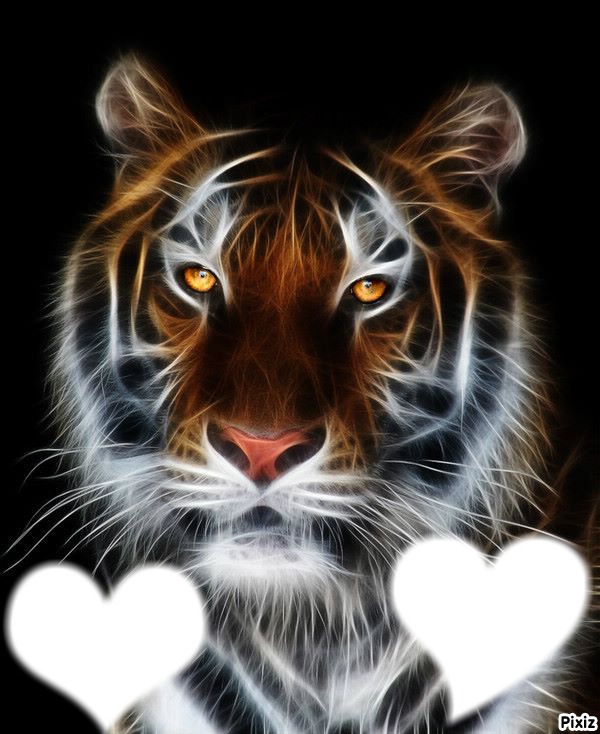 tigre avec coeur Photomontage