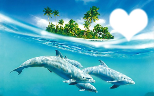 islas de delfines Montaje fotografico