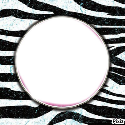 zebra Photo frame effect
