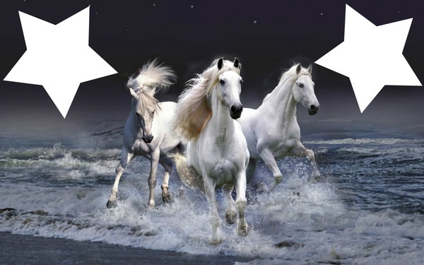 chevaux Fotomontage